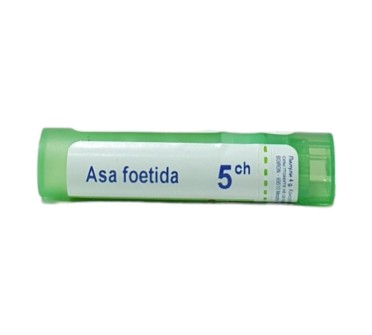 ASA FOETIDA 5 CH